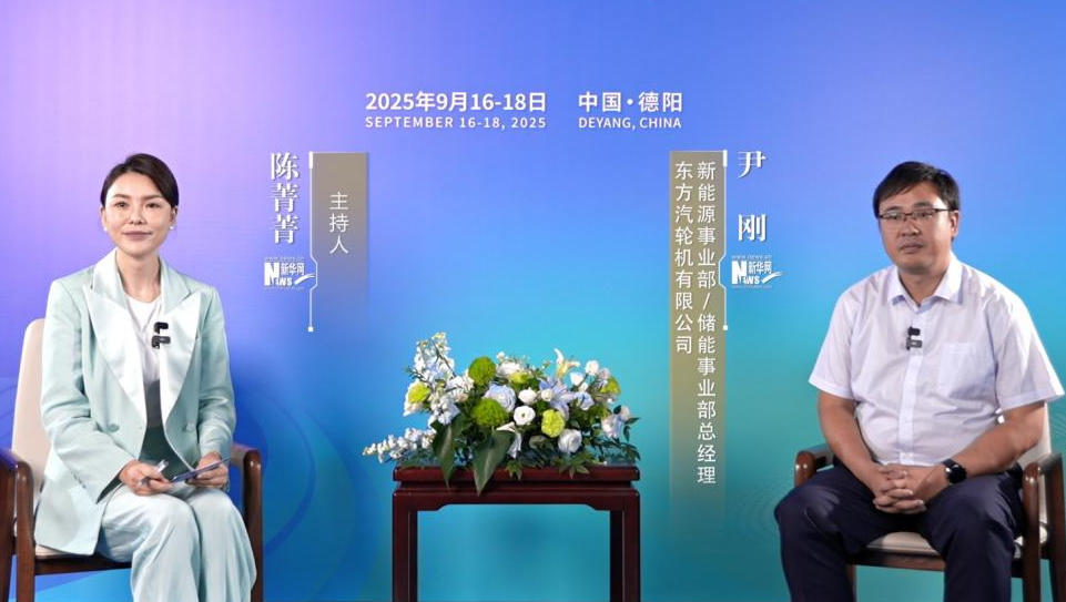 尹剛：以“風(fēng)光”為主的新能源發(fā)展要依托儲(chǔ)能去提高消納能力和收益空間