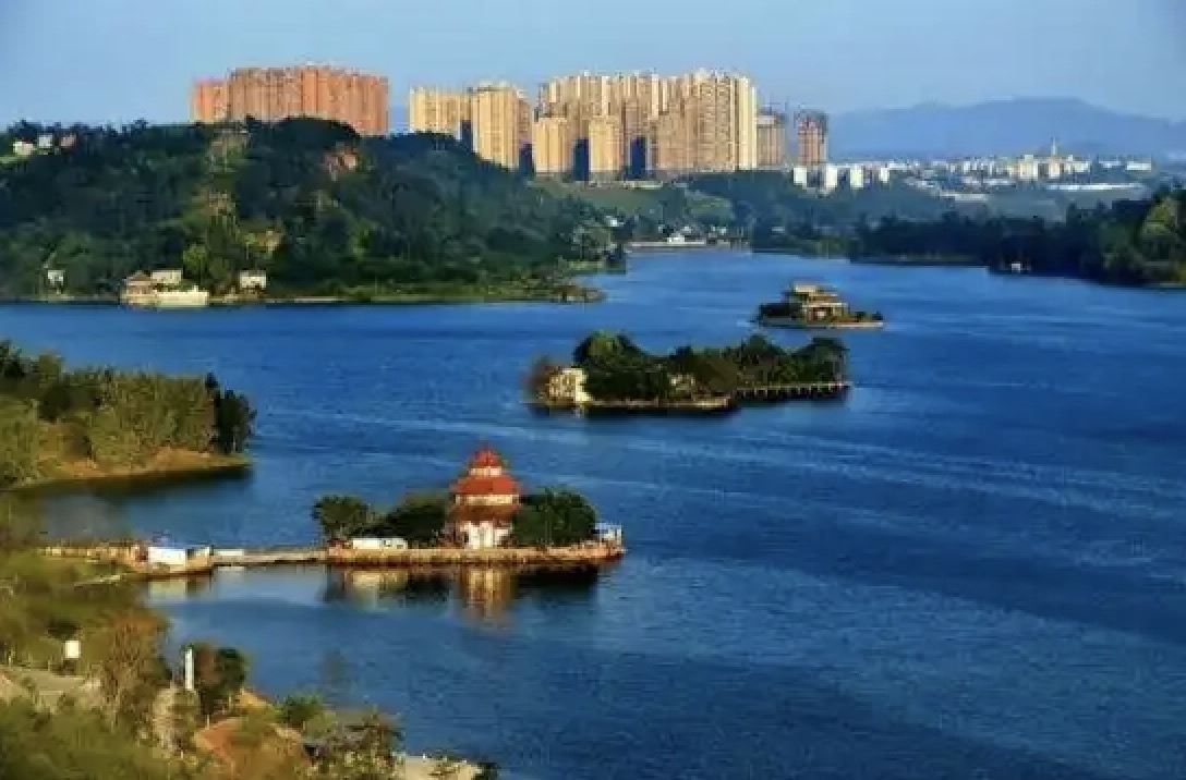 內江市隆昌市探索政務服務“四心”解法，助力“銀齡族”跨越“數(shù)字鴻溝”
