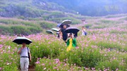 &ldquo;土地入股&rdquo;發(fā)展旅游 昔日貧困村如今&ldquo;網(wǎng)紅村&rdquo;