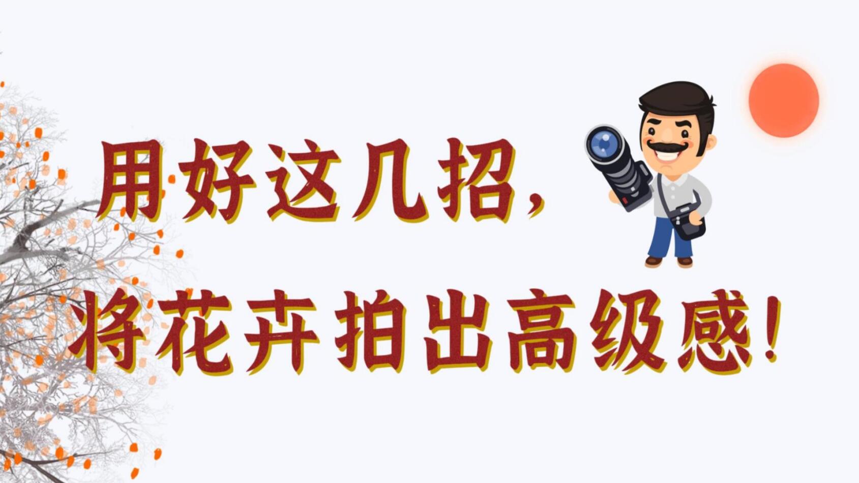 【光影輕課堂】用好這幾招，將花卉拍出高級(jí)感！