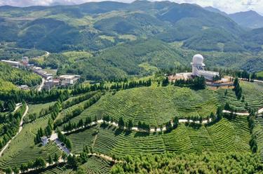福建大湖鄉(xiāng)：&ldquo;多元種植&rdquo;助推鄉(xiāng)村振興