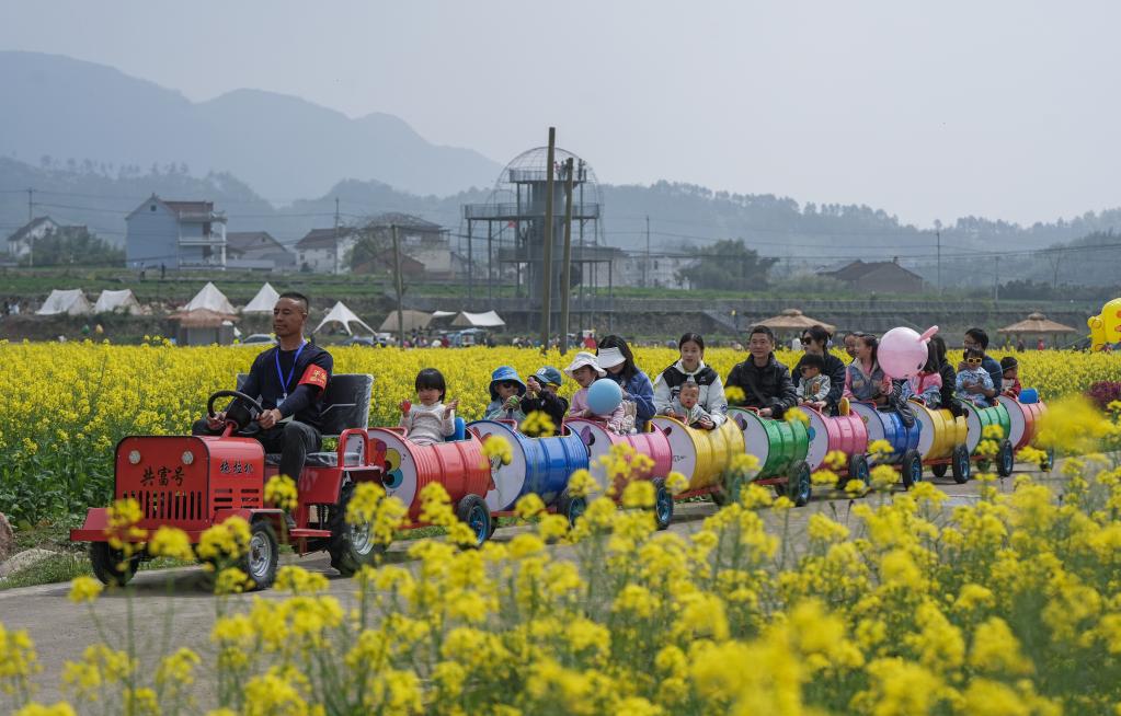 &ldquo;共富稻田&rdquo;油菜花開促共富
