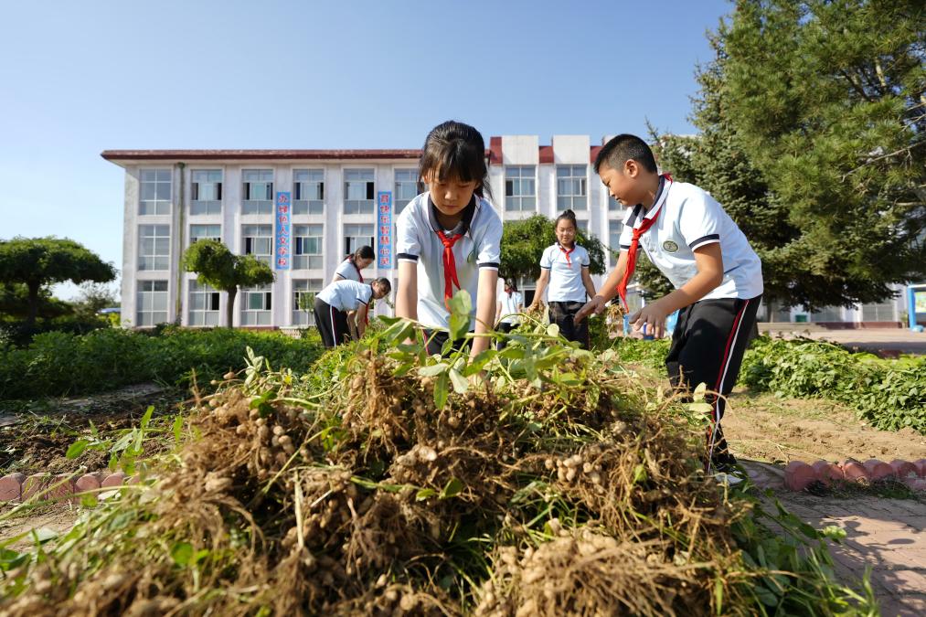 河北樂亭：&ldquo;校園農(nóng)場&rdquo;助力勞動教育提質(zhì)增效
