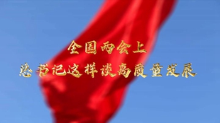兩會(huì)上，總書記這樣談高質(zhì)量發(fā)展
