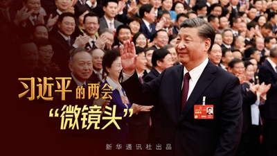 習(xí)近平的兩會(huì)&ldquo;微鏡頭&rdquo;