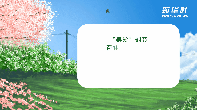 科畫｜20日&ldquo;春分&rdquo;，你要的&ldquo;五彩春色&rdquo;來了！