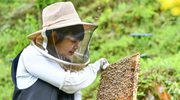 春風喚來燕歸鄉(xiāng)&mdash;&mdash;人才回流助力貴州鄉(xiāng)村振興開新局