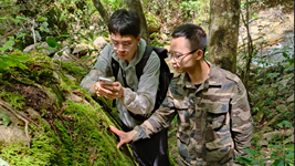 贛閩攜手&ldquo;逐&rdquo;綠守護(hù)武夷山國家公園