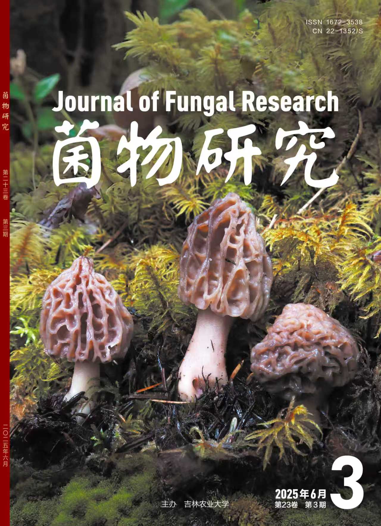 《菌物研究》