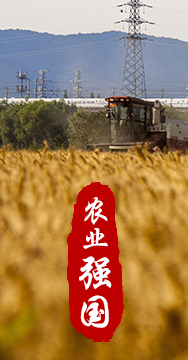 農(nóng)業(yè)強國是社會主義現(xiàn)代化強國的根基。