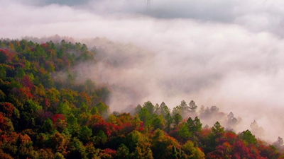 湖北遠(yuǎn)安：農(nóng)旅融合實(shí)現(xiàn)&ldquo;兩山&rdquo;轉(zhuǎn)化