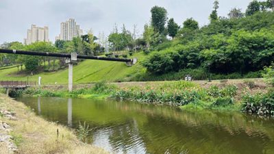 四川內(nèi)江：一滴污水的&ldquo;再生之旅&rdquo;